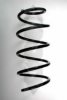 SPIDAN 56831 Coil Spring